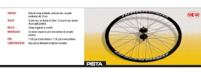 PISTA